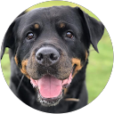 Anna Dyminska-Dawson profile picture